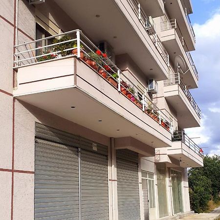 Drini Apartments Permet Bagian luar foto